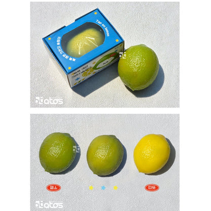Crunchy Lemon Squishy - South Korea Import