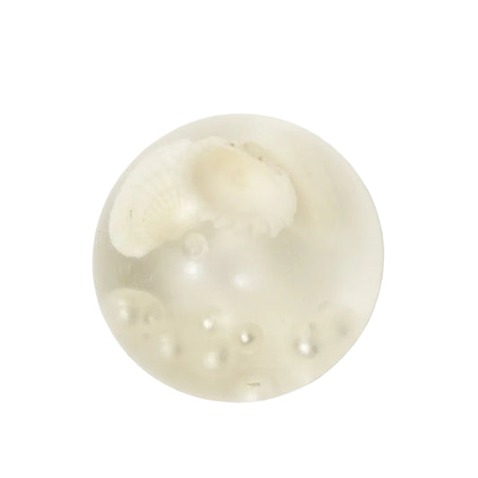 Seashell Pearl Sugar Squishy - South Korea Import