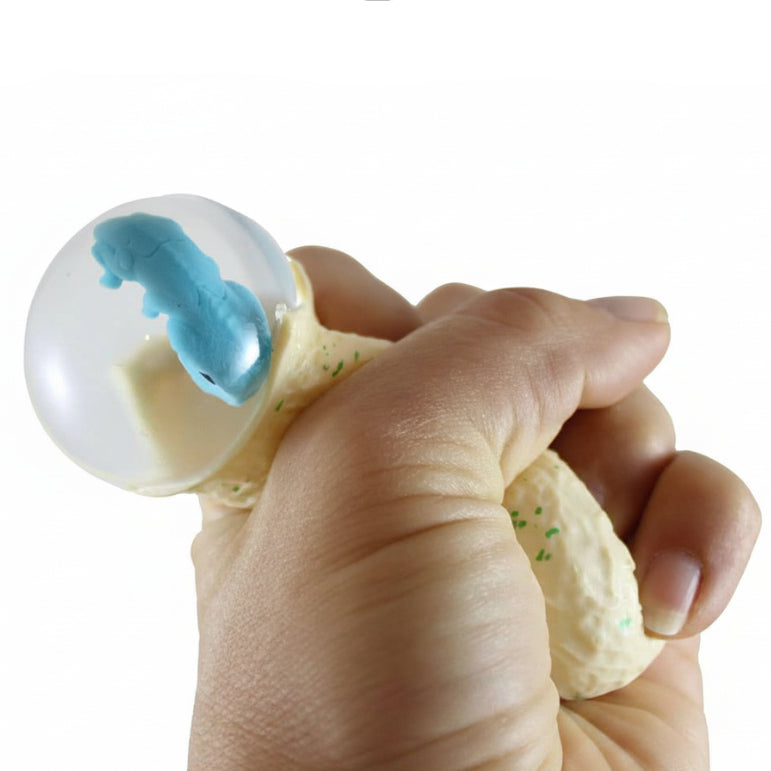 Hatching Dinosaur Egg with Baby Dino