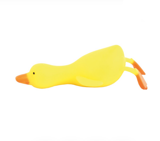 Duck Squishy