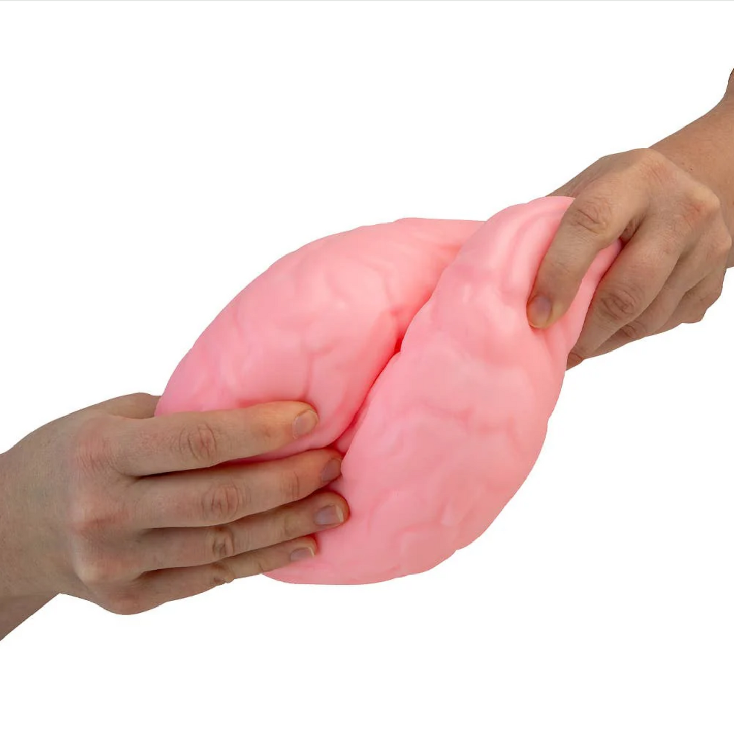 Easy Sqweezy Jumbo Brain Squeeze Toy