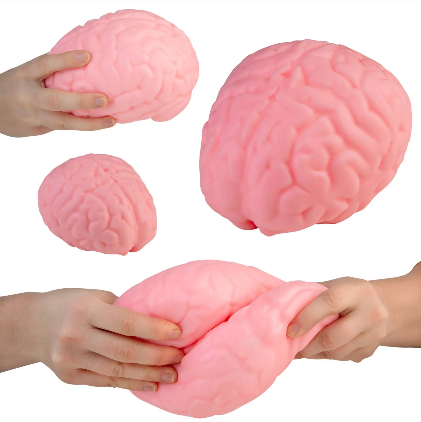 Easy Sqweezy Jumbo Brain Squeeze Toy