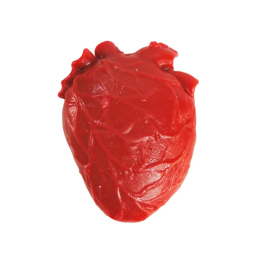 Tiny Toys - Teeny Tiny Vital Organ (squishy toy)