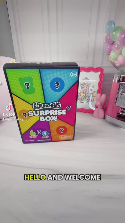 SCRUNCHEMS SQUISHY SURPRISE BOX